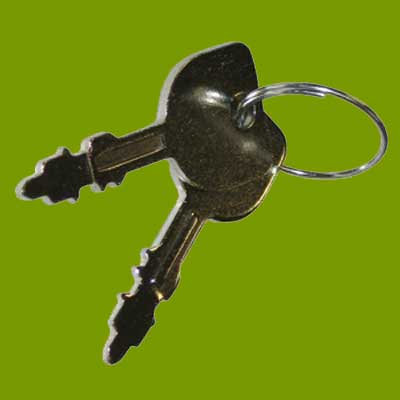 (image for) Ignition Switch Keys SWT6484